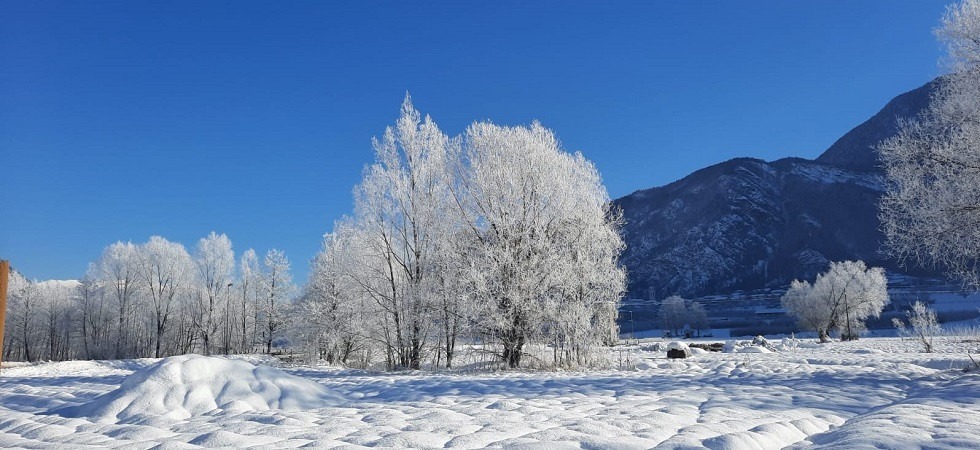 Basse temperature, nebbia e umidità portano la galaverna: paesaggio incantato a Levico Terme